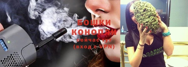 твердый Вяземский