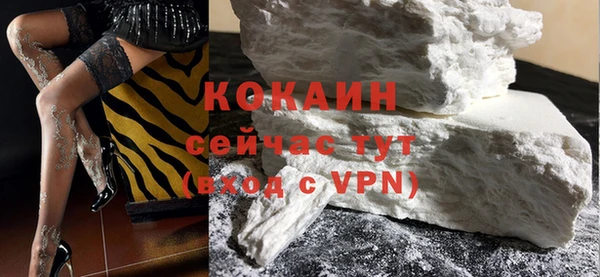 твердый Вяземский