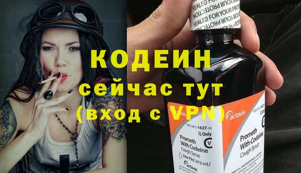 твердый Вяземский