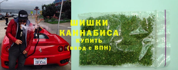 твердый Вяземский