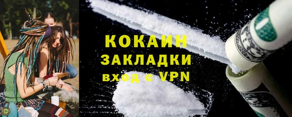твердый Вяземский