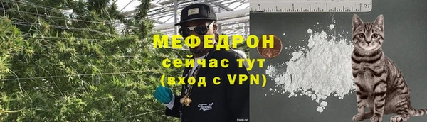 твердый Вяземский