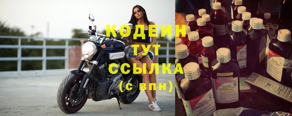 твердый Вяземский